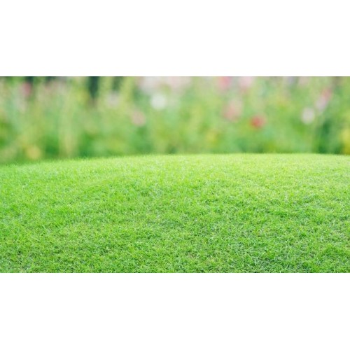 Logiciels paris hippiques