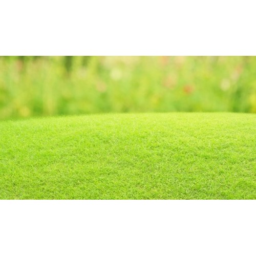 logiciels pour joueur professionnel